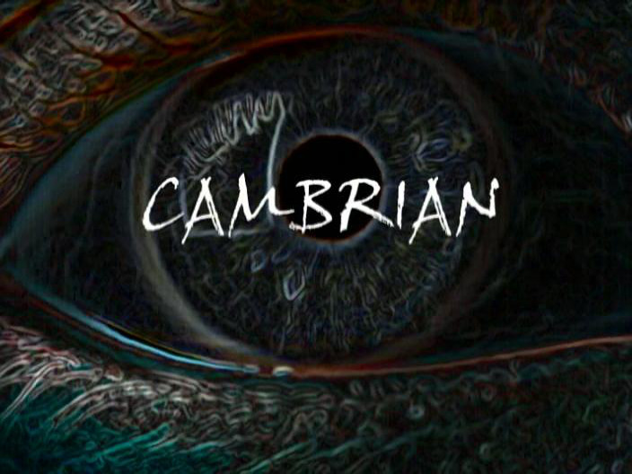 Cambrian (Animex)