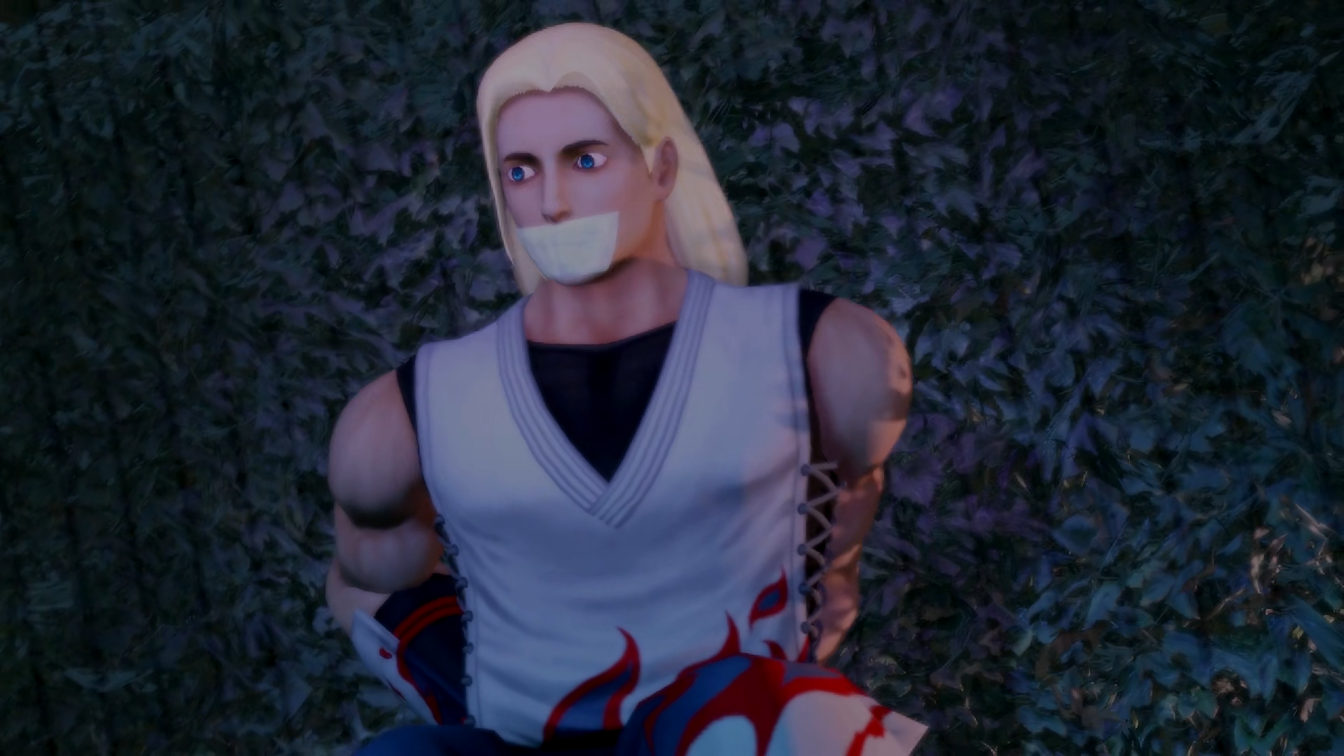 Mai-Den Collection (Raw)