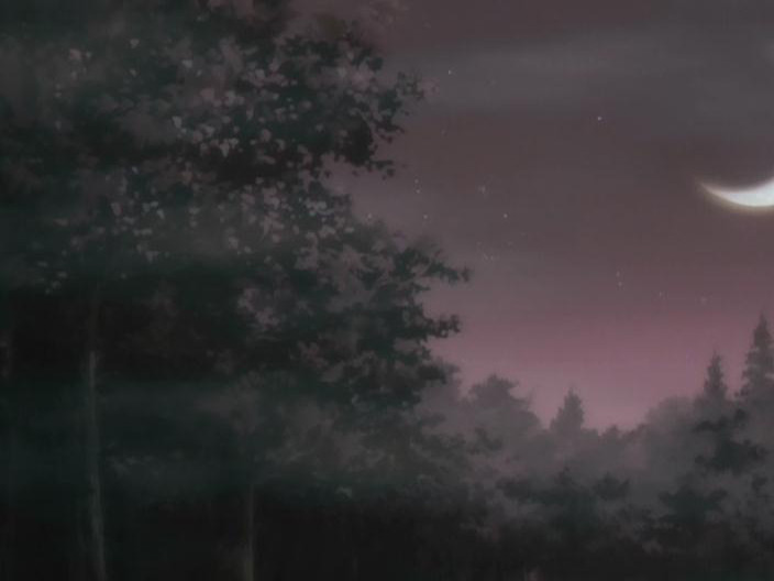 Shinjin Tour Conductor (Animex)