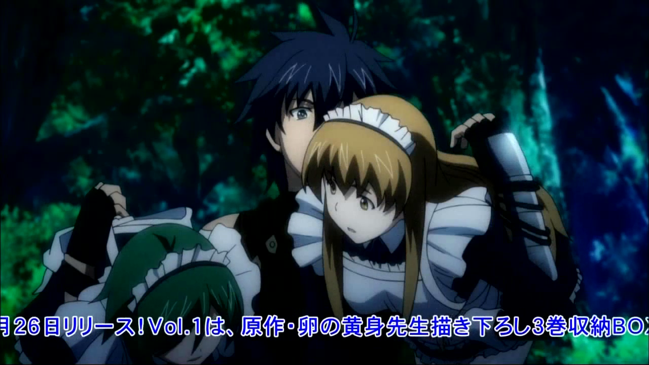 Hagure Yuusha no Estetica (EvermorE)