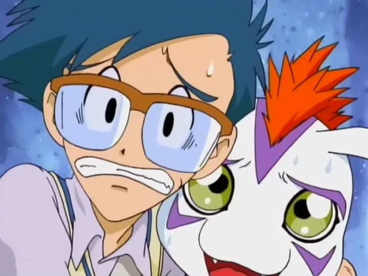 Digimon adventure (Raccon)