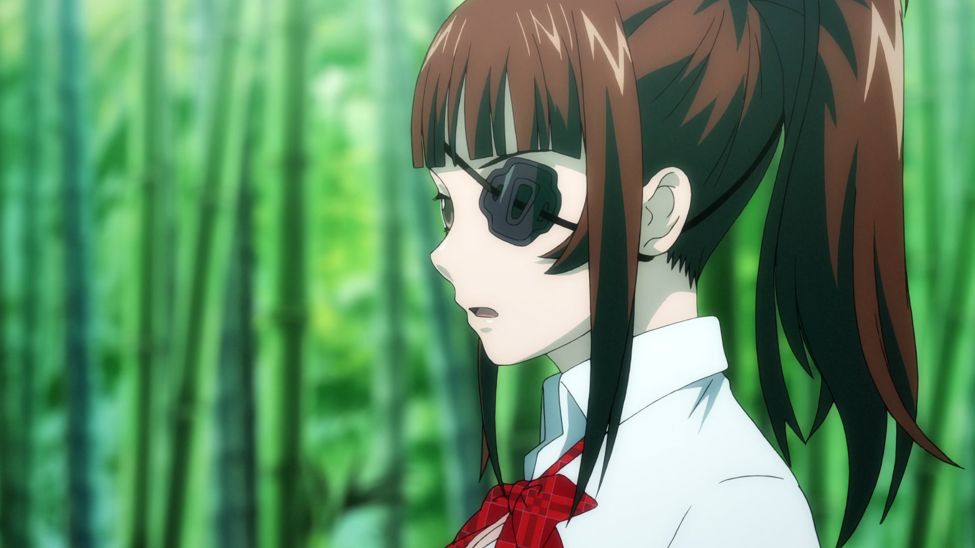 Ikkitousen - Extravaganza Epoch (Akantor)