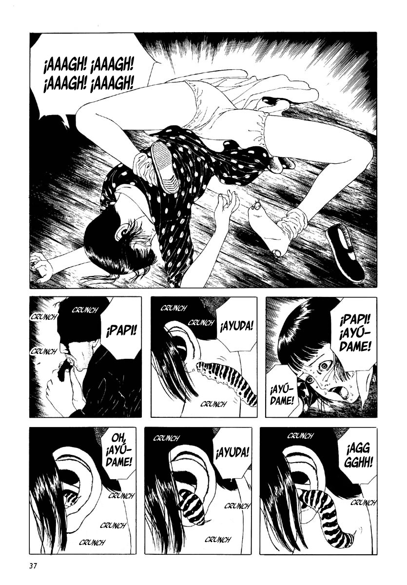 Midori, la Niña de las Camelias (Perpetual Horrors Fansub)