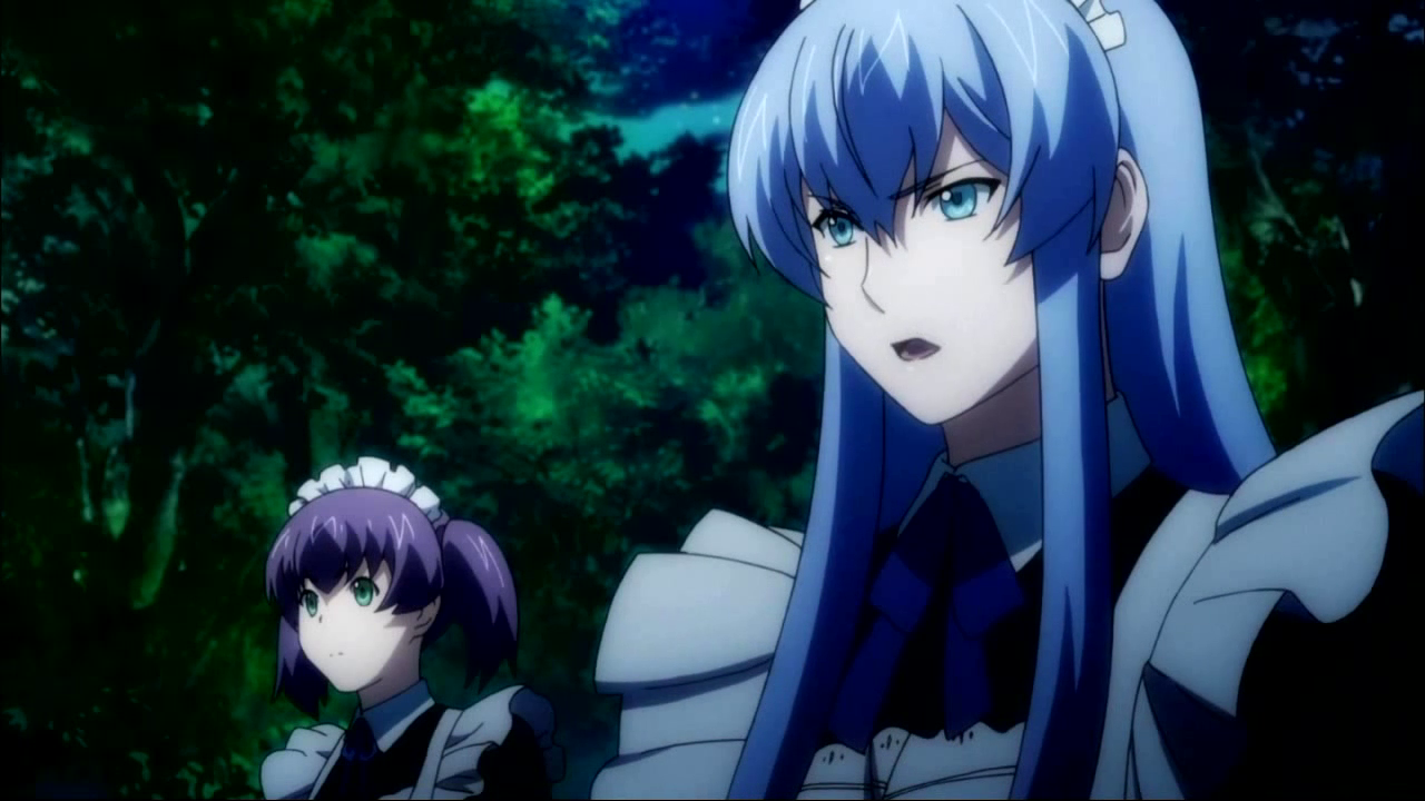 Hagure Yuusha no Estetica (EvermorE)