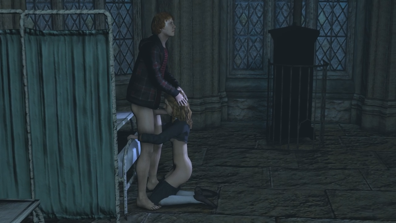 Hogwart's Enchanted (Unidentified)