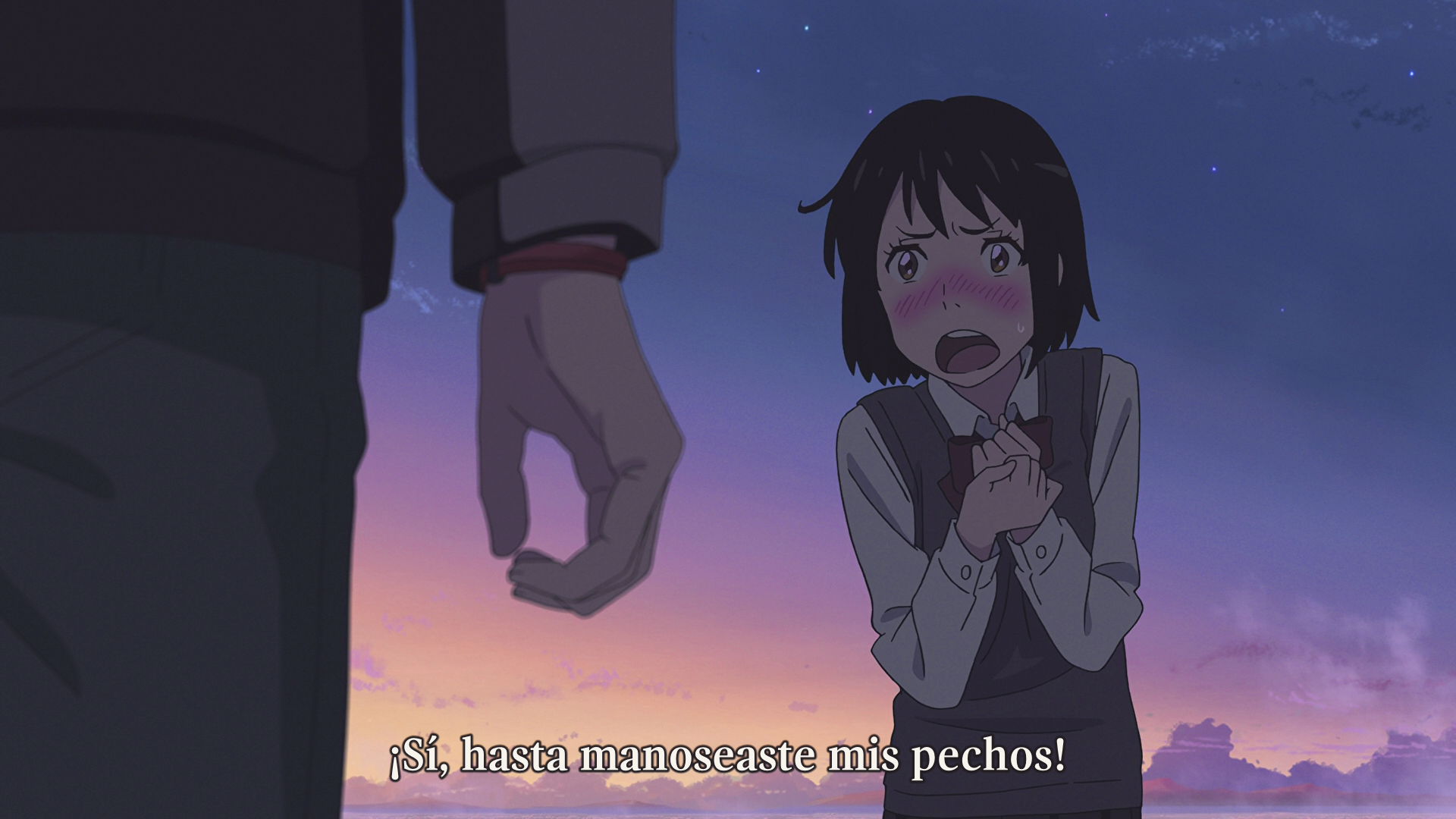 Your Name. (Hakoniwa, Zenryoku Fansub)