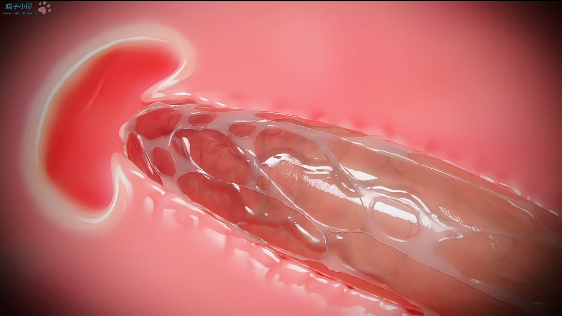 The Experiment: Chapter Four (Catcottage)