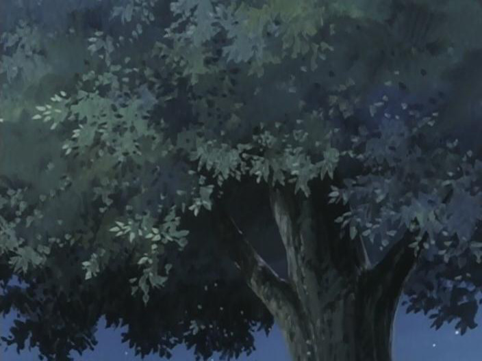 El puño de la estrella del sut (Animex)