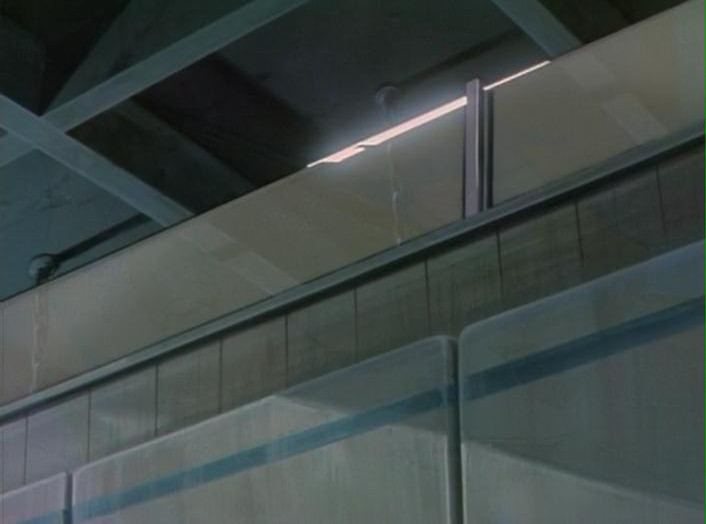 Balas Ardientes (Animex)