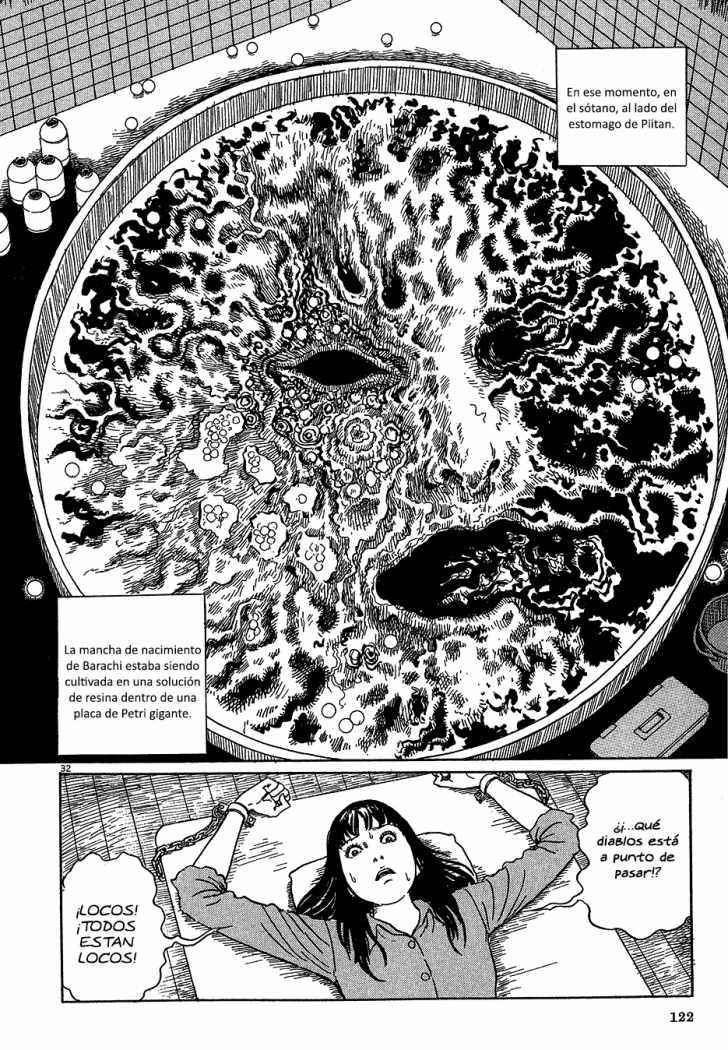 Black Paradox (Nikasub)