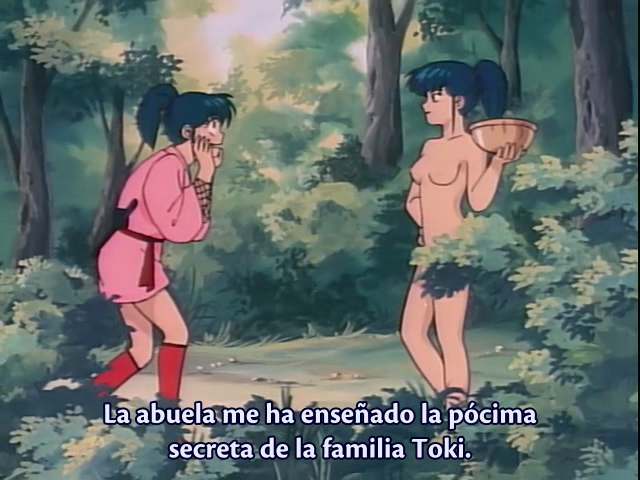 The Samurai (AniMugen Fansub)