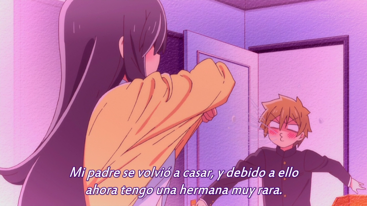 Onee-chan ga Kita (Seigi Tamashi)