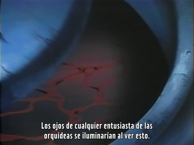 Deimos no Hanayome (Key-Anime Fansub)