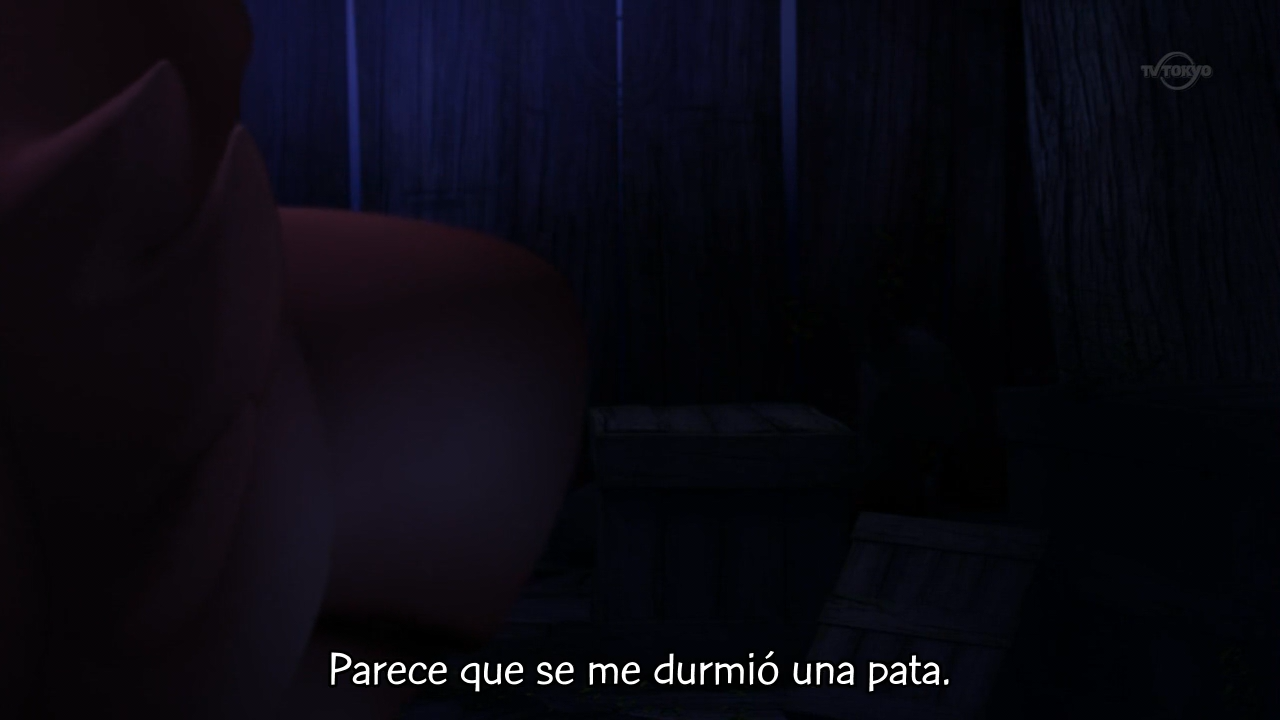 Arashi no Yoru ni: Himitsu no Tomodachi (Kemono Spanish no Fansub)