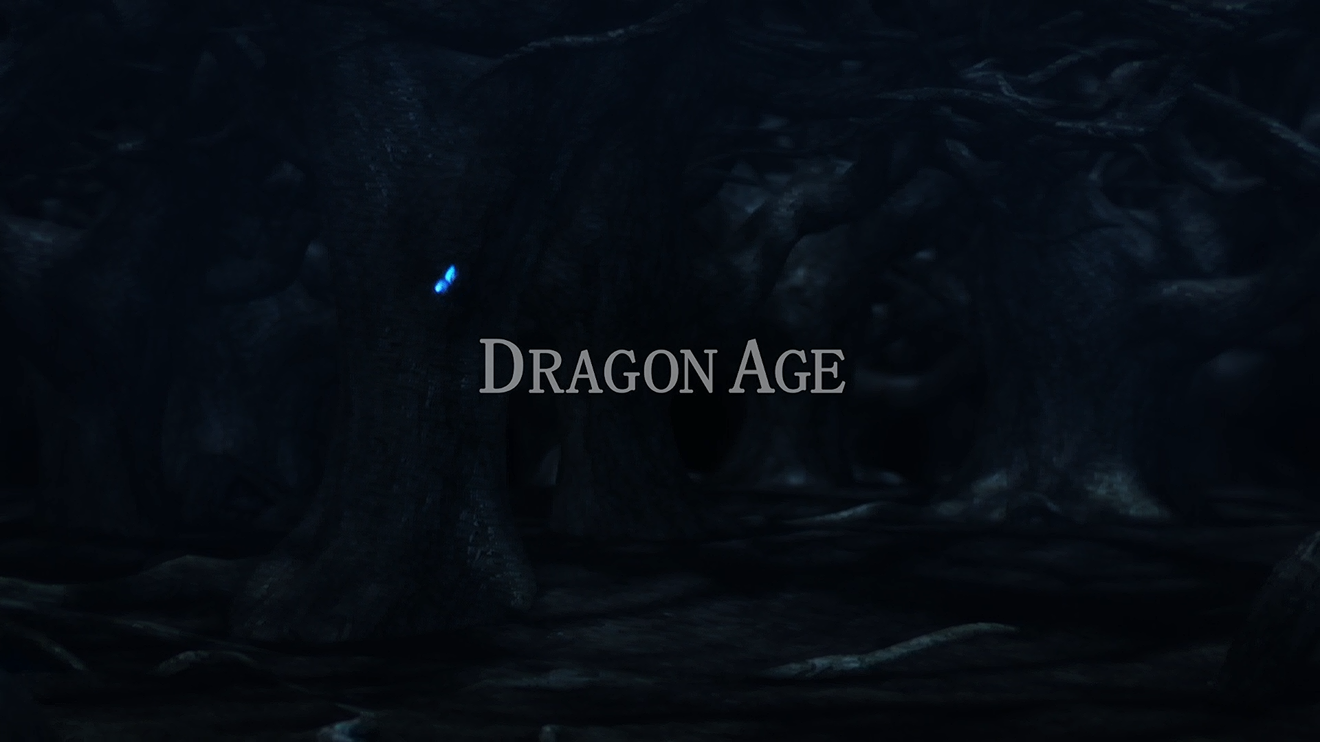 Dragon Age: Blood Mage no Seisen (Backbeard)