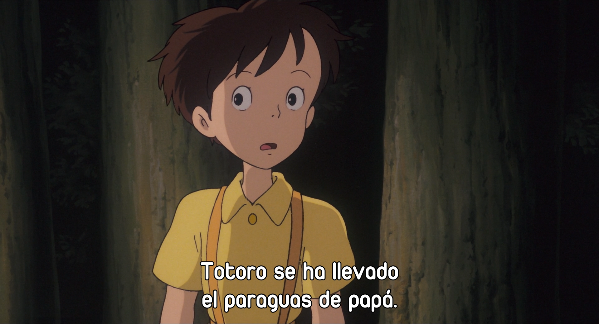 Tonari no Totoro (Evoshare)