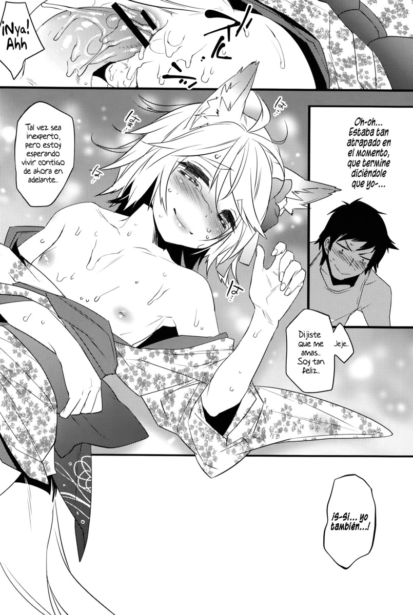 Kitsune Shuugen (Ash Wing) (Solarismaximum)