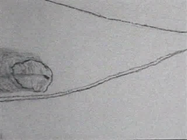 3tsu no Kumo (rauwebieten)