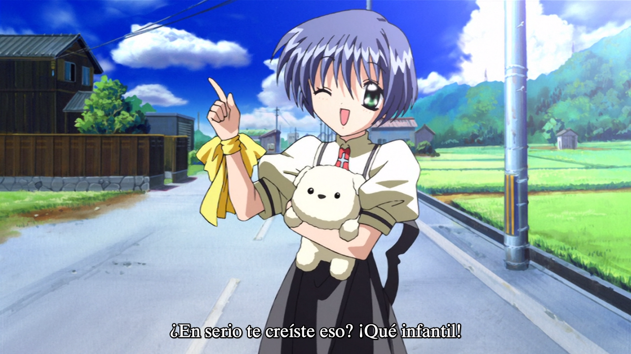 Air (Japannext Fansub)