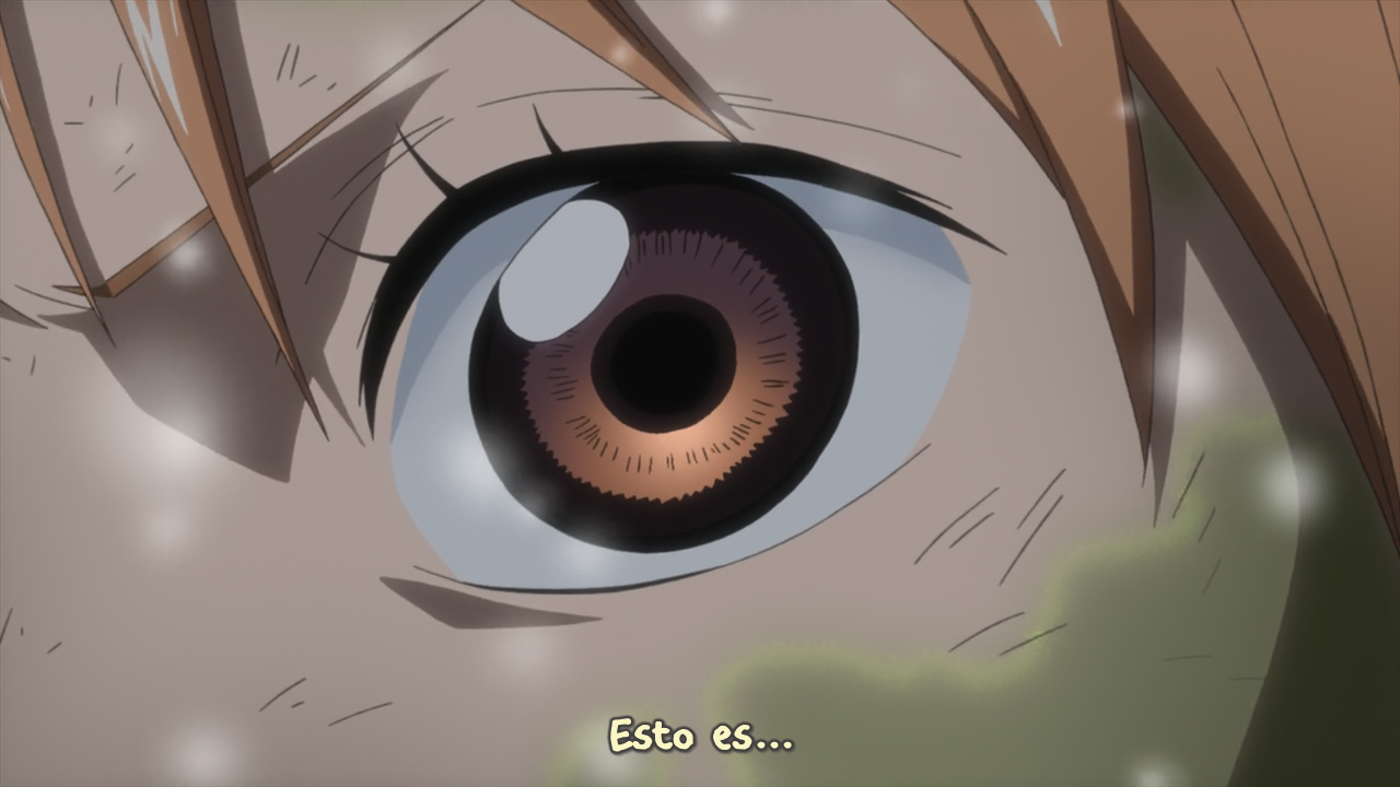 One Piece: Strong World (Movie 10) (Shichibukai)