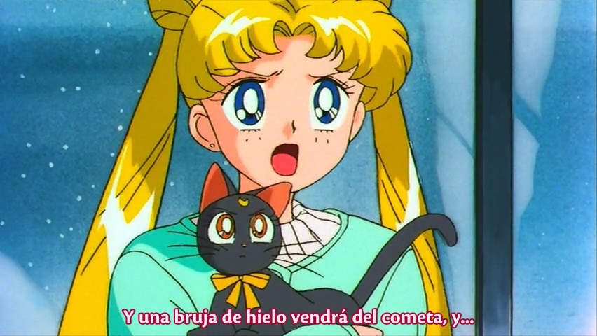 Bishoujo Senshi Sailor Moon S: Kaguya Hime no Koibito (El Mejor Anime Fansub)