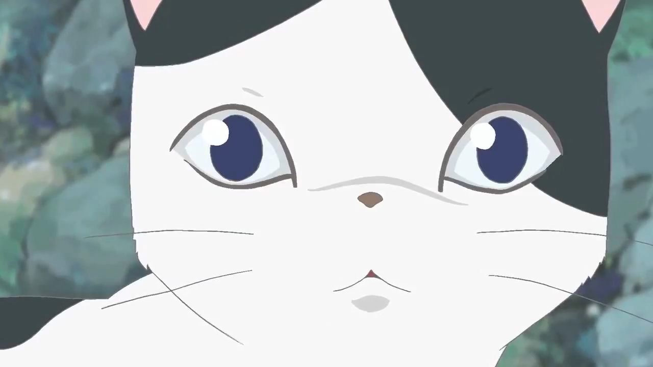 Neko no Sumu Shima (0000 wannasubs & Asociados de La Victoria, Starry Sky)