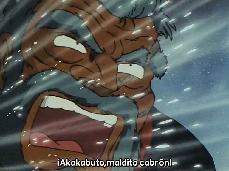 Ginga Nagareboshi Gin (Kemono Spanish no Fansub)