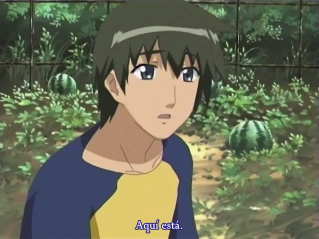 Lamune (Hikari Anime)