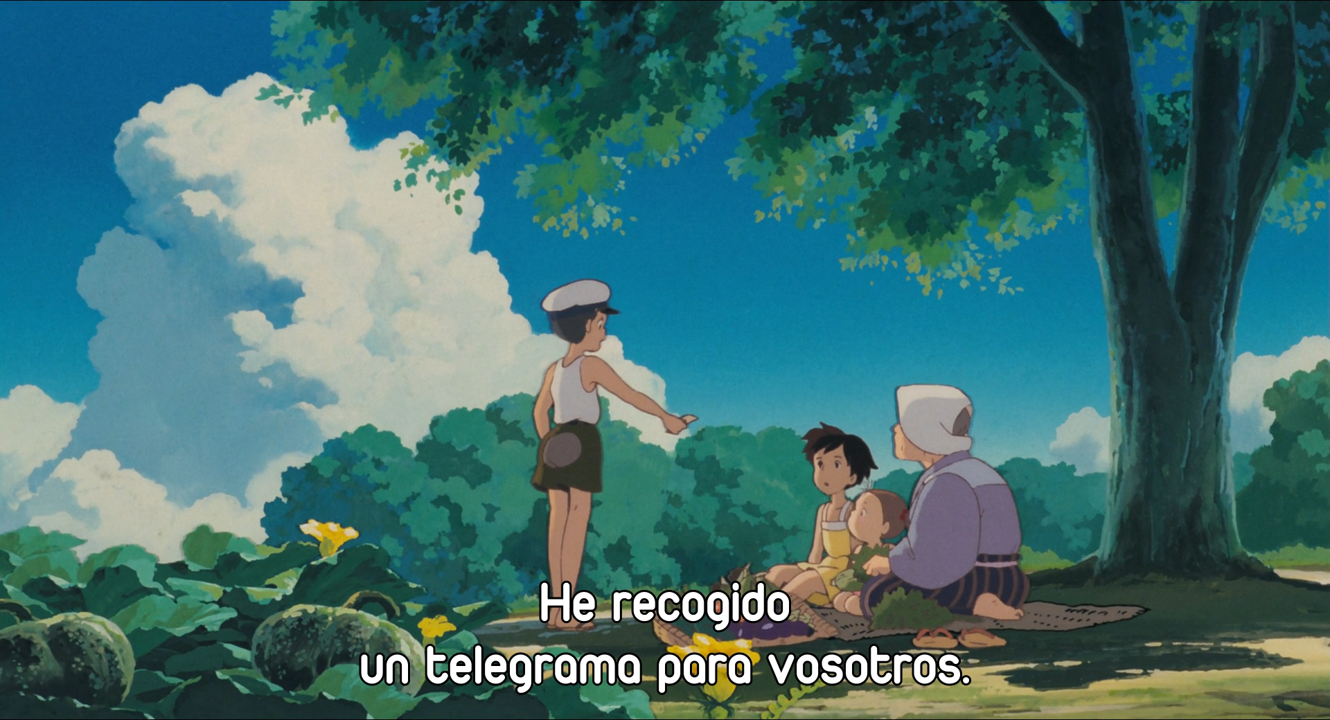 Tonari no Totoro (Evoshare)