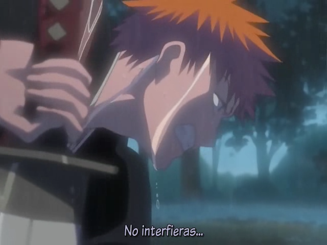 Bleach: Memories in the Rain (Frozen Layer Fansub)