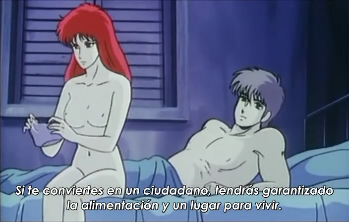 Grey: Digital Target (Key-Anime Fansub)