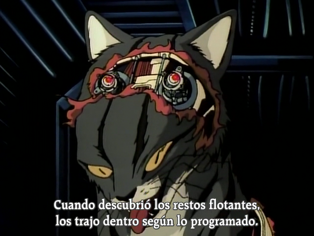 Lily C.A.T. (Key-Anime Fansub)