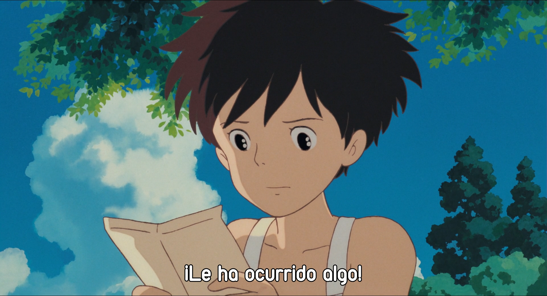 Tonari no Totoro (Evoshare)