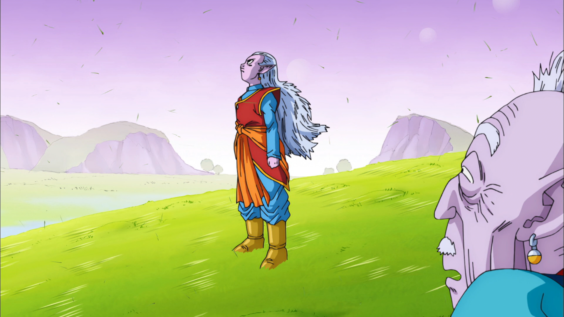 Dragon Ball Super (Tonoss)