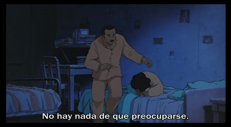 Anne no Nikki (Fansub independiente)