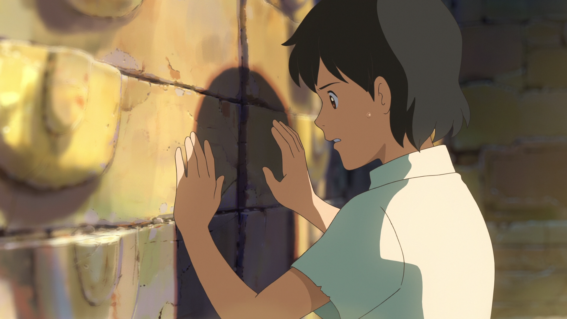 Hoshi wo Ou Kodomo (Nanikano Fansub)