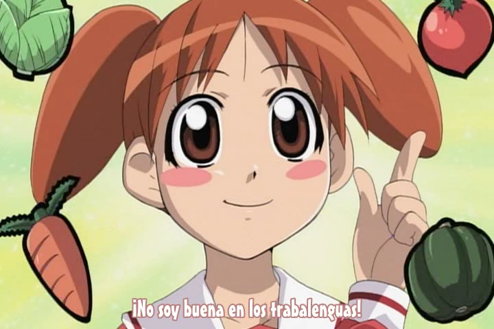 Azumanga Daiou The Animation (Jisedai no Fansub, Otaku no Power)
