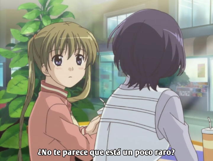 Kashimashi: Girl Meets Girl (Hikari Anime, Nanikano Fansub)