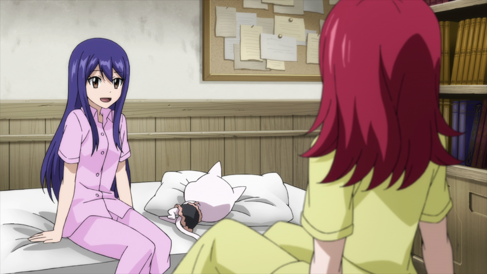 Fairy Tail: Final Series (Puyasubs!)