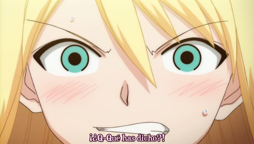 Mahou Sensei Negima!: Shiroki Tsubasa Ala Alba (AnimeRakuen)