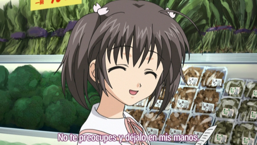 To Heart 2 (Nanikano Fansub)
