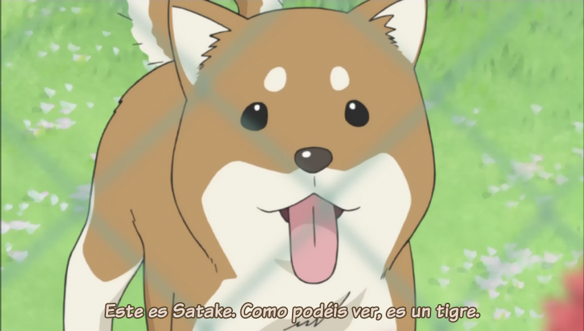 Ichigo Mashimaro (Nanikano Fansub)