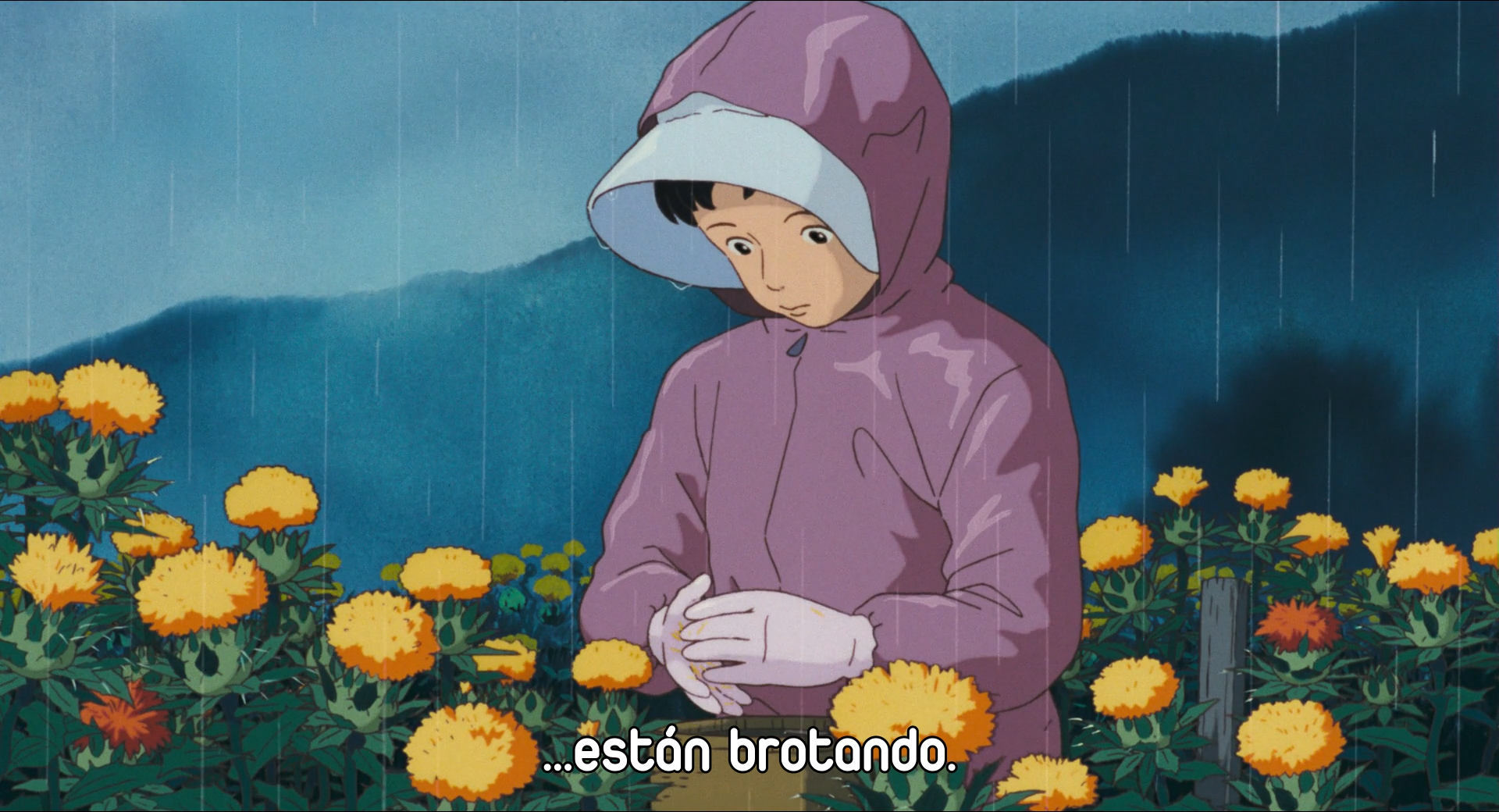 Omoide Poro-poro (EvoShare)