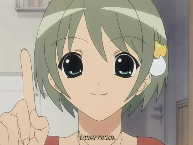 Winter Garden (Kyôdai no Fansub)