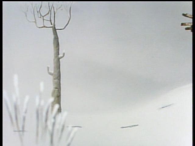 Caro to Piyobuputo (Kurosuke)