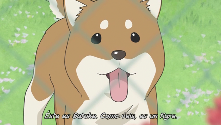 Ichigo Mashimaro (Hikari Anime, Anime Rakuen, Tai-Rei Fansubs)