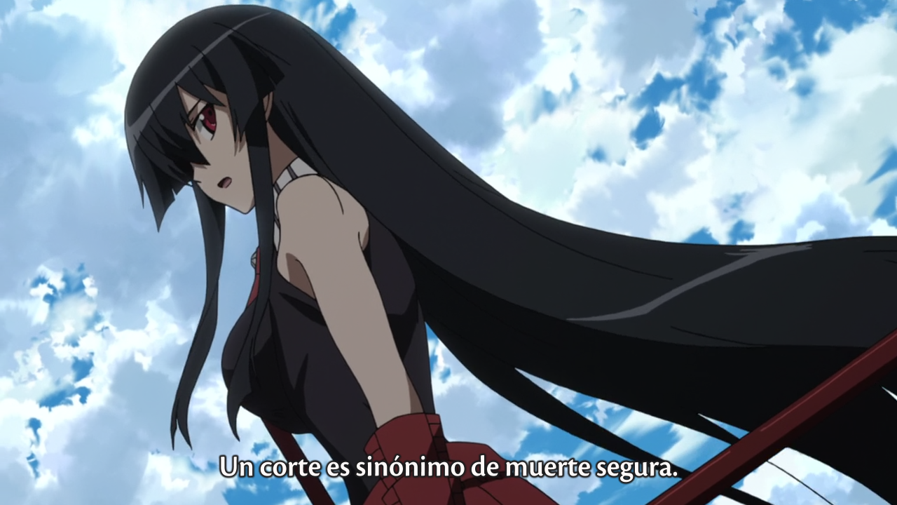 Akame ga Kill! (Dekats, Unmei no Chikara)