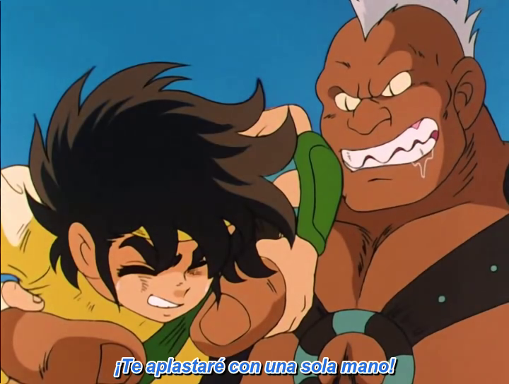 Los Caballeros del Zodiaco (Animesub)