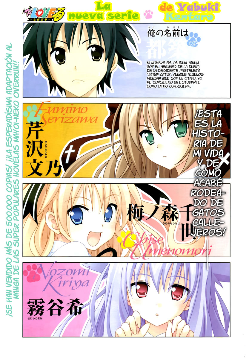 Mayoi-Neko Overrun! (Menudo-Fansub)