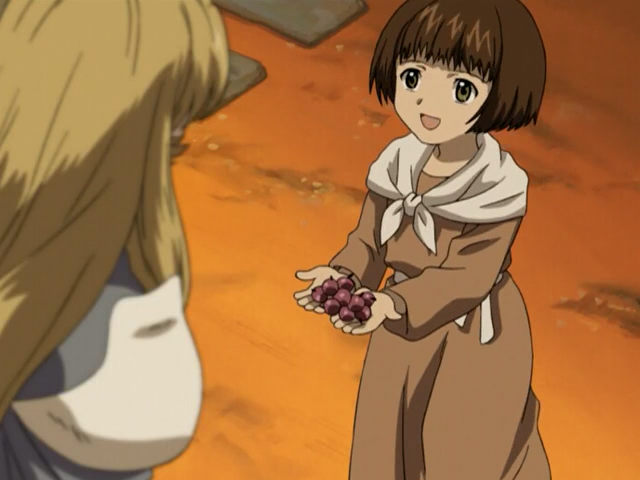 La princesa abandonada (AnimeHD)